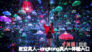 莘晏然